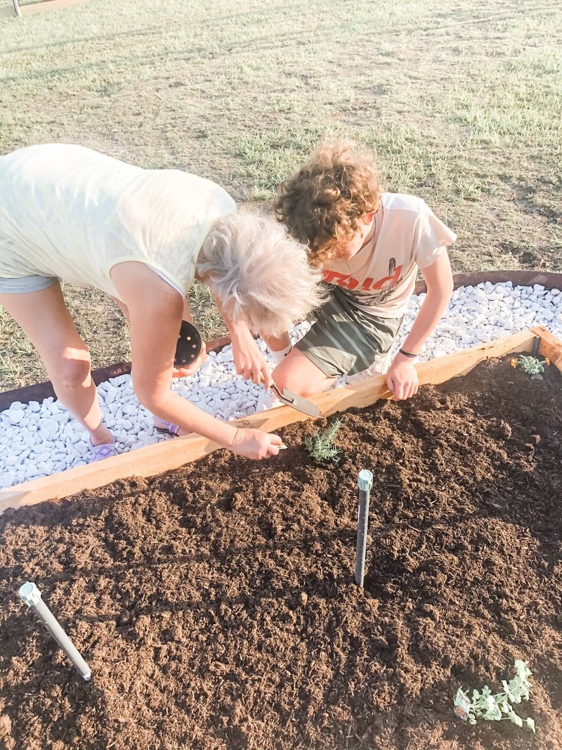 Mary Diana Bowman - Photo 8