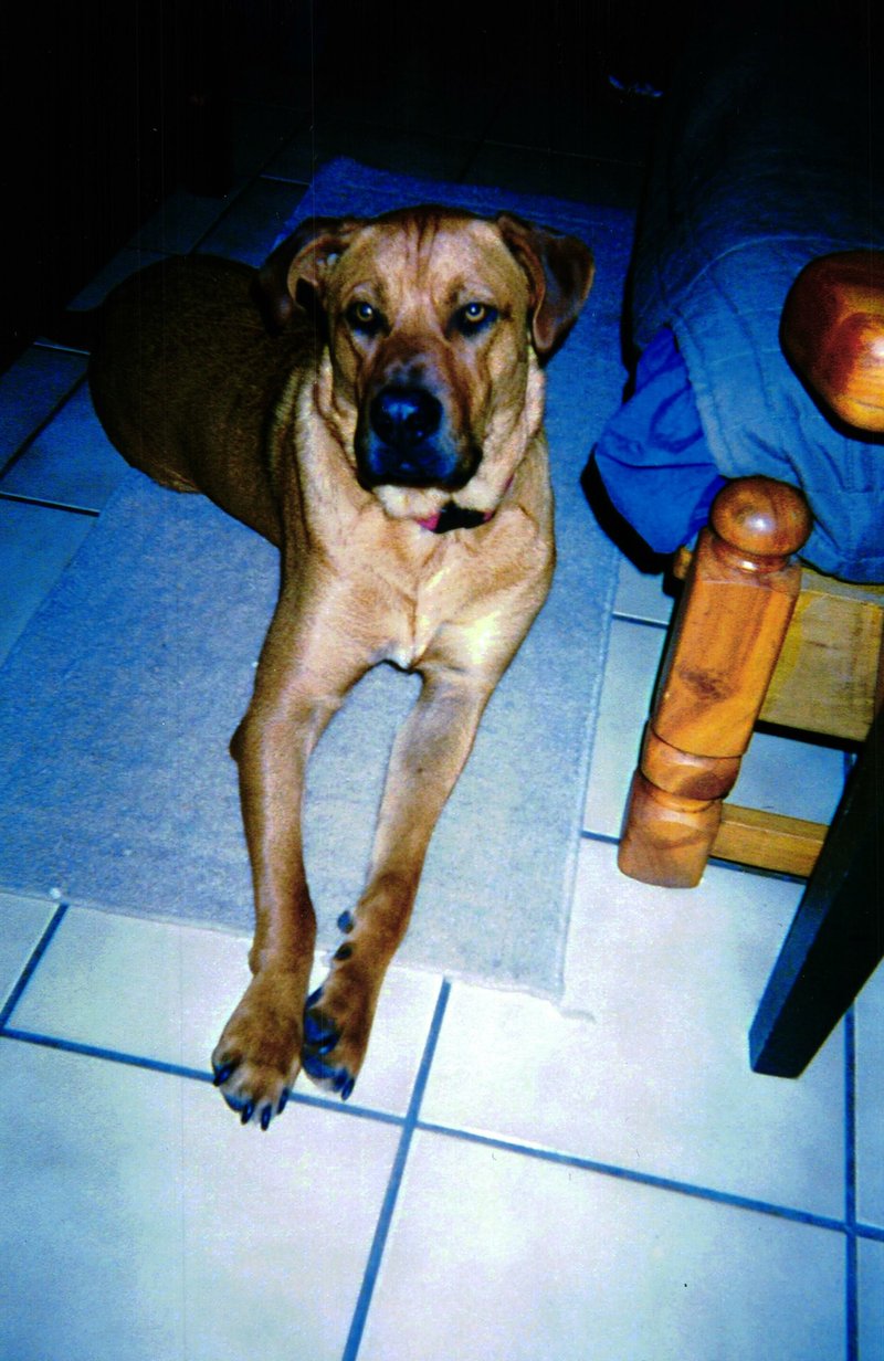 Tom Hardy - Photo 76