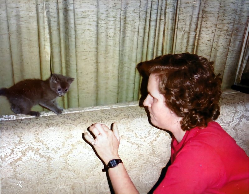 Doris Ann Land - Photo 14