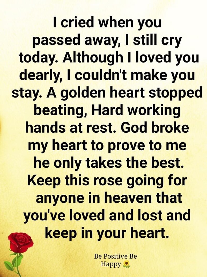 Doris Ann Land - Photo 43