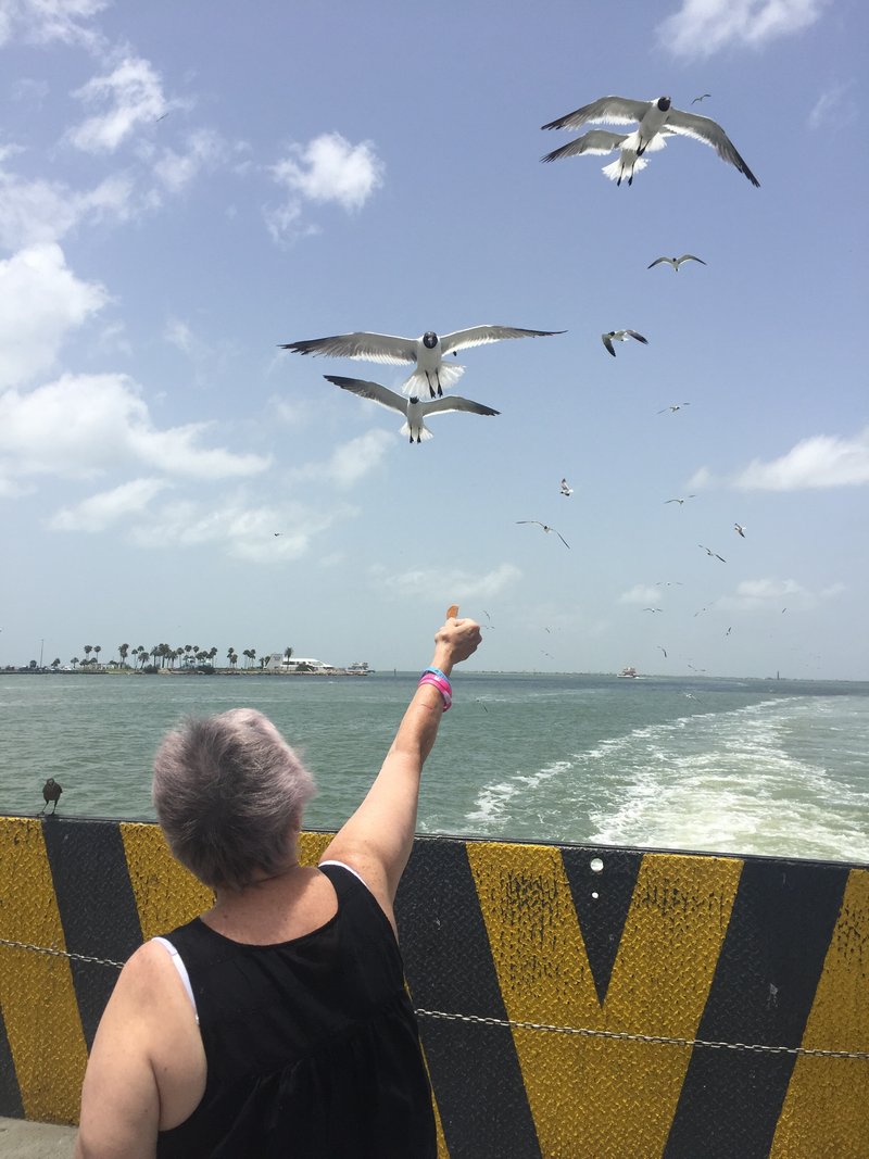 Doris Ann Land - Photo 132