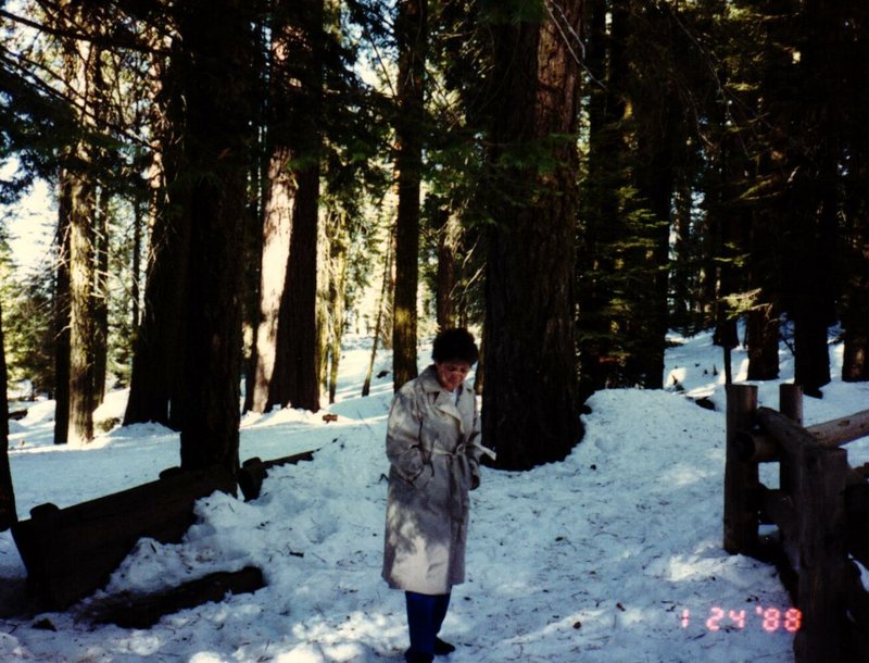 Shirley Jo Ausherman - Photo 57