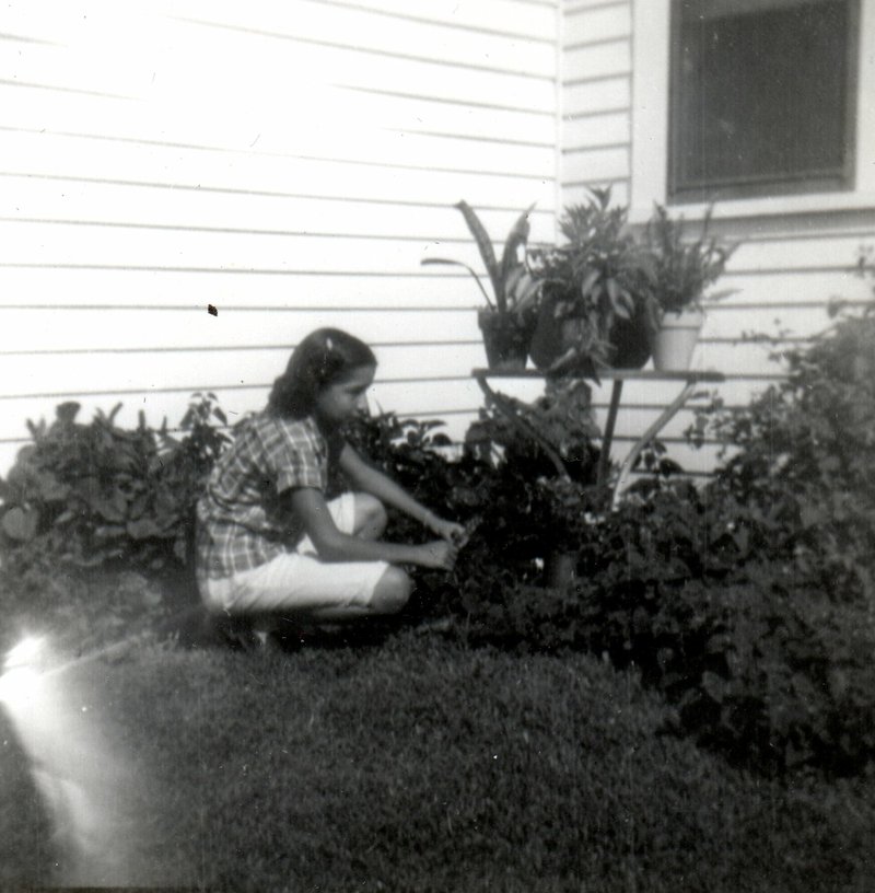 Sylvia Ann Mires - Photo 39