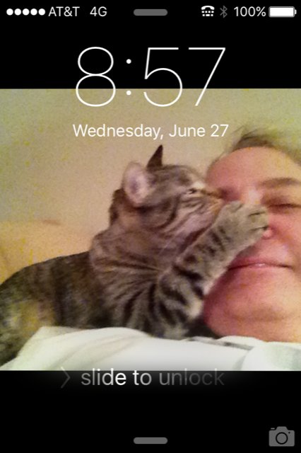 Frank Malloy Brown - Photo 35