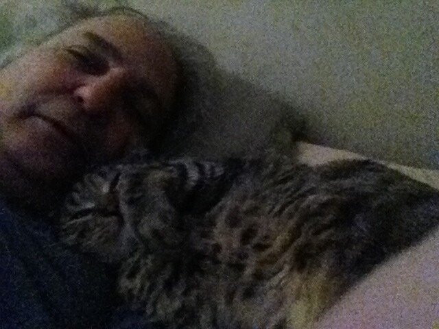 Frank Malloy Brown - Photo 54