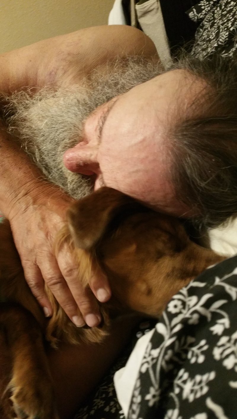 Pat Henry Williams - Photo 12