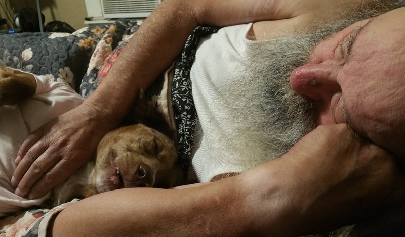 Pat Henry Williams - Photo 21