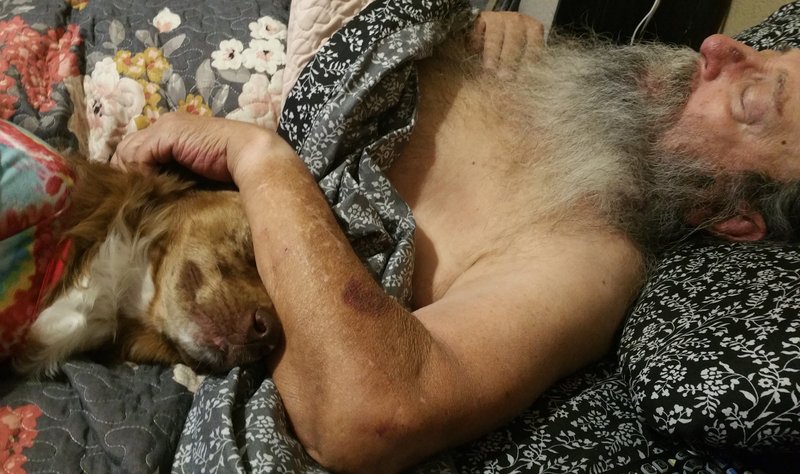 Pat Henry Williams - Photo 26