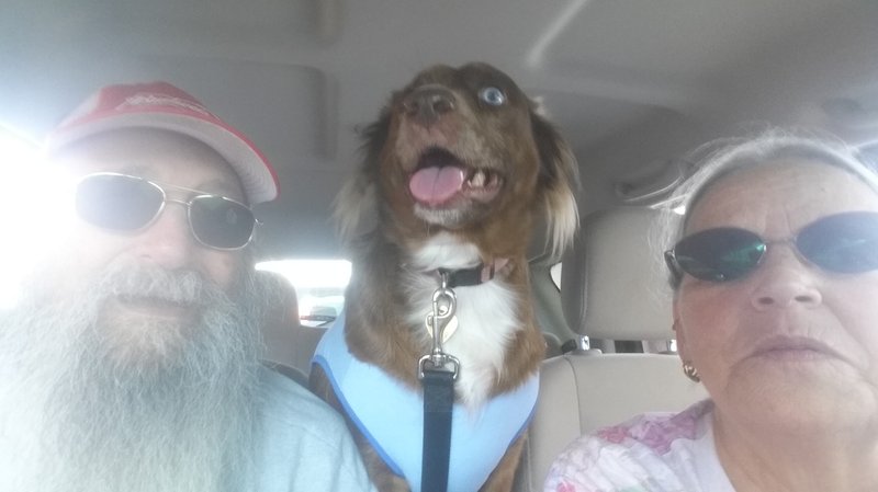 Pat Henry Williams - Photo 41