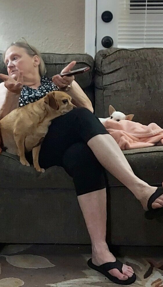 Deborah Helen McAbee - Photo 28