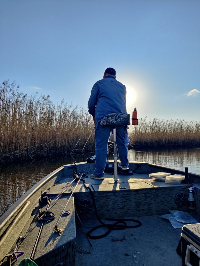 Joey Suire - Photo 127