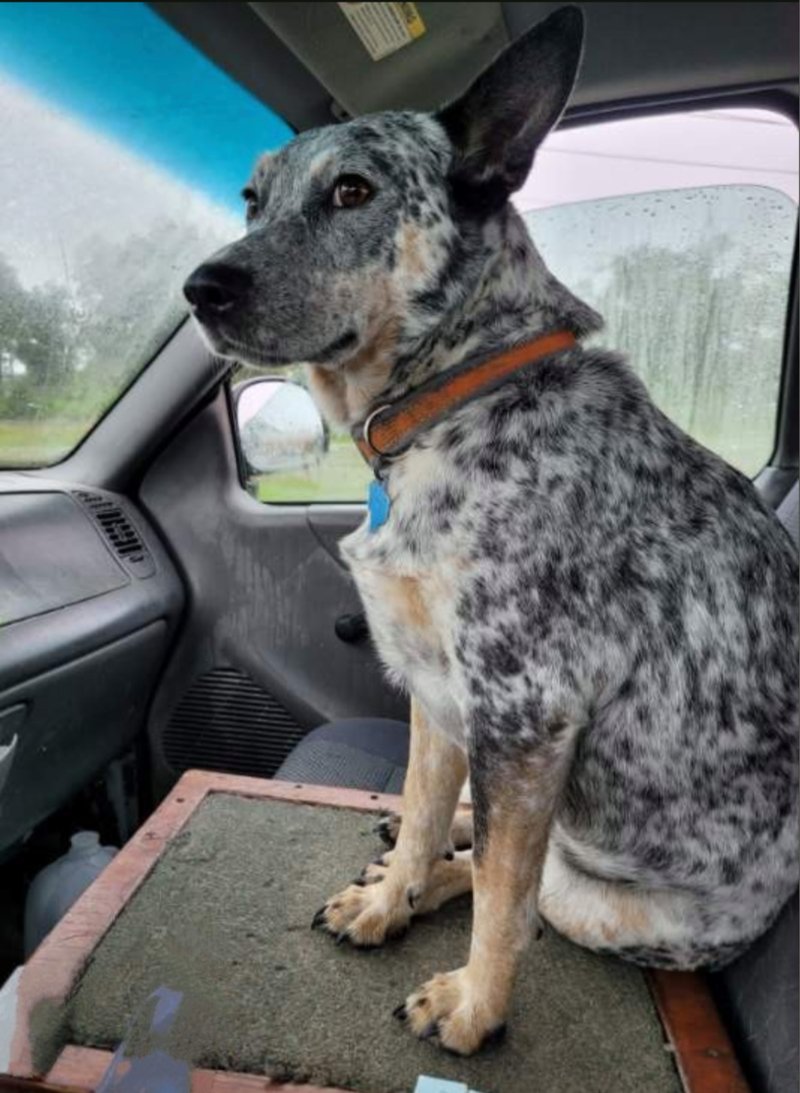 Calvin Walter Stakes, Jr. - Photo 28