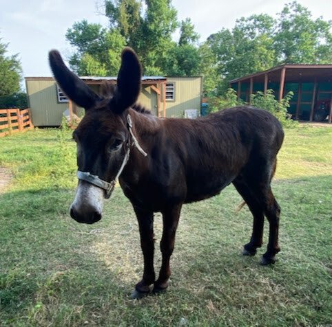 Calvin Walter Stakes, Jr. - Photo 41