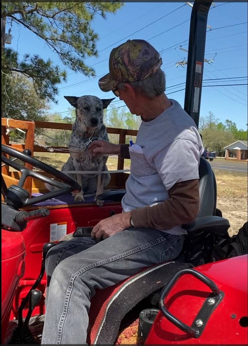 Calvin Walter Stakes, Jr. - Photo 48