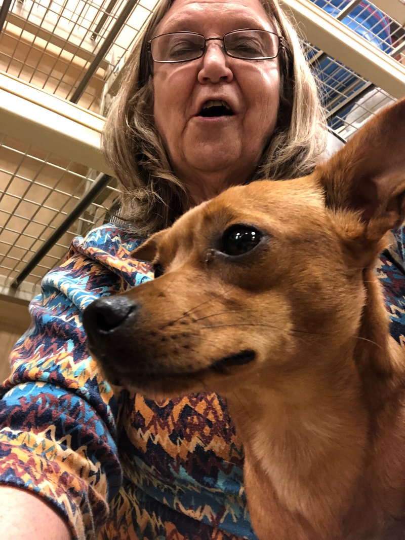 Debra Sue Manshack - Photo 129