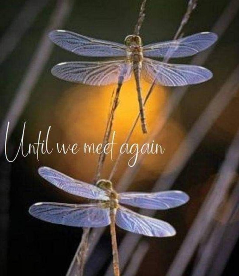 Zilda Sue Darby-Bland - Photo 3