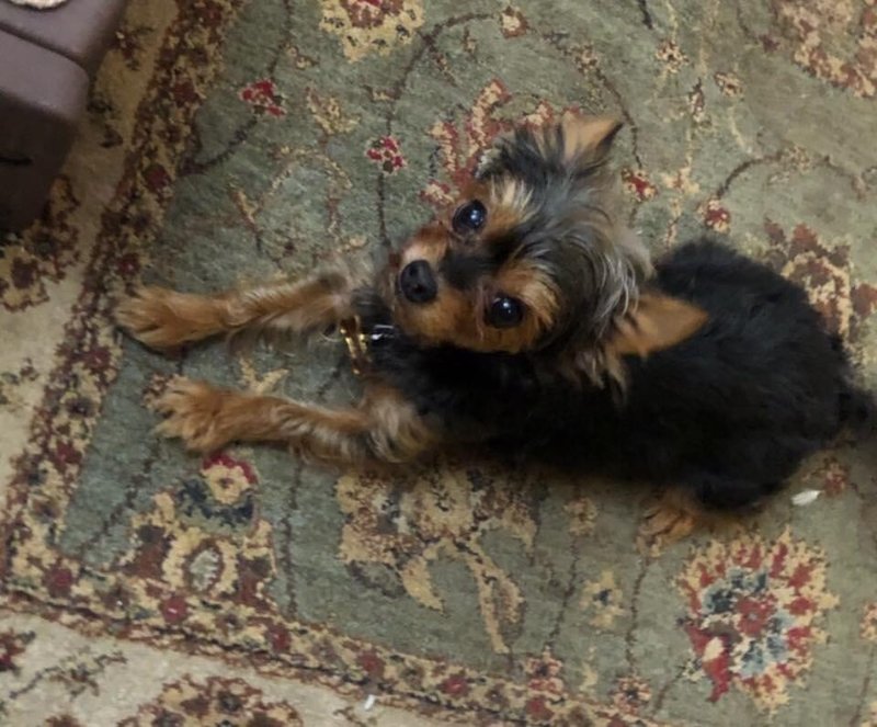 Linn Cardner - Photo 4