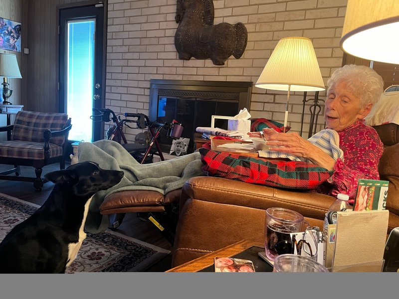 Linn Cardner - Photo 199