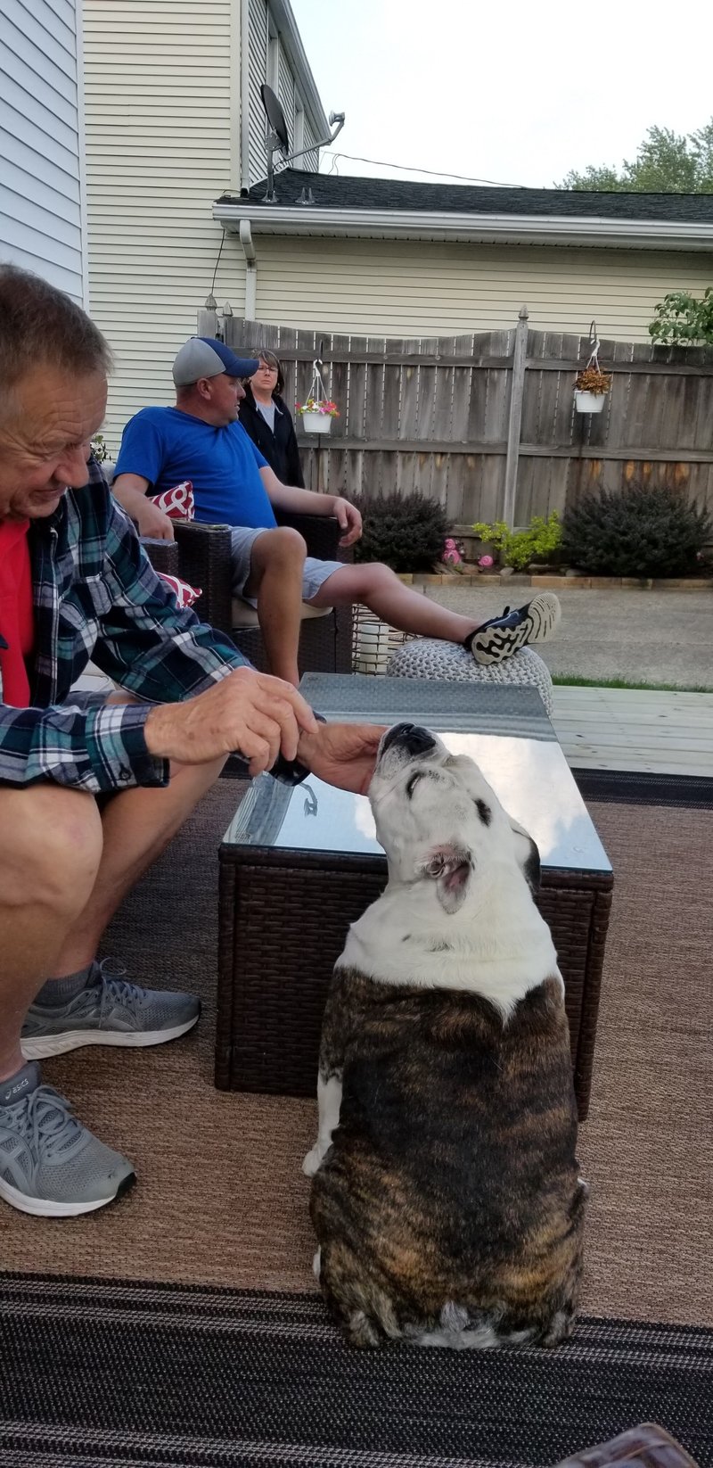 Dennis Leonard Cerkiewicz - Photo 121