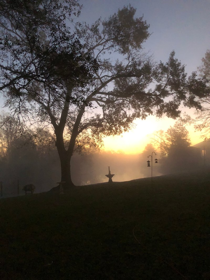 James Lewis Scott - Photo 69