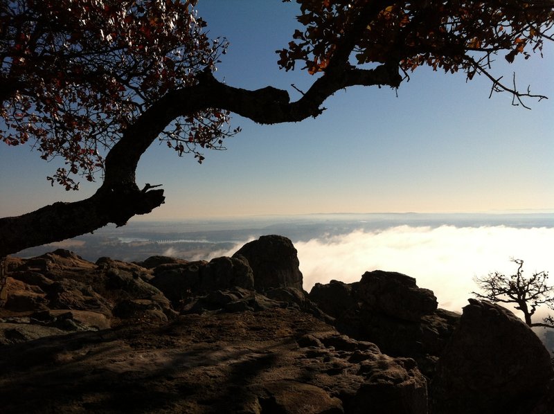 James Lewis Scott - Photo 76