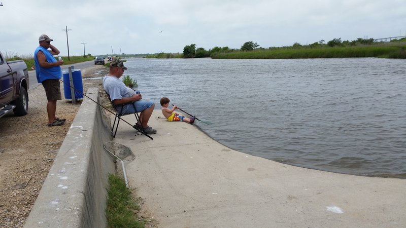 Jessie Argus Terry - Photo 87