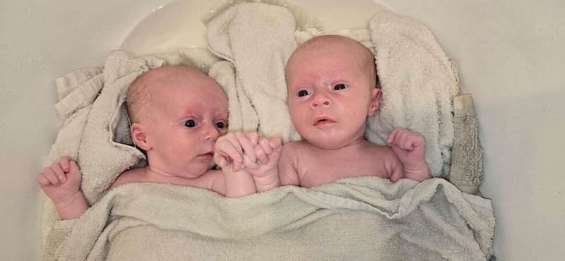 Oakleigh Jayde Abshire - Photo 13