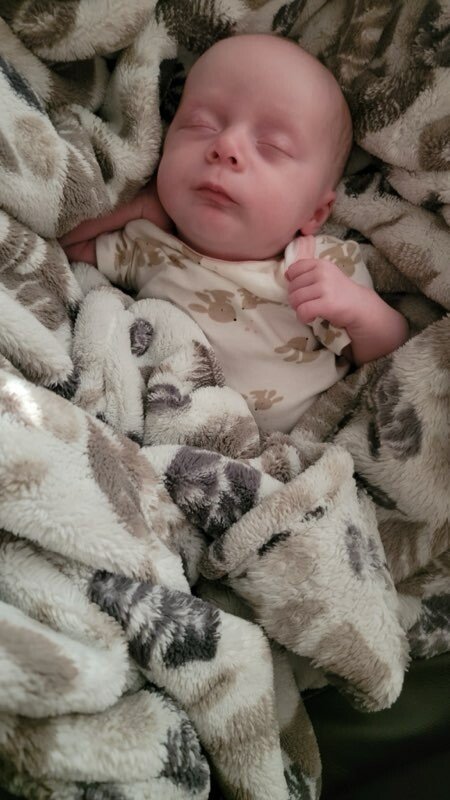 Oakleigh Jayde Abshire - Photo 16