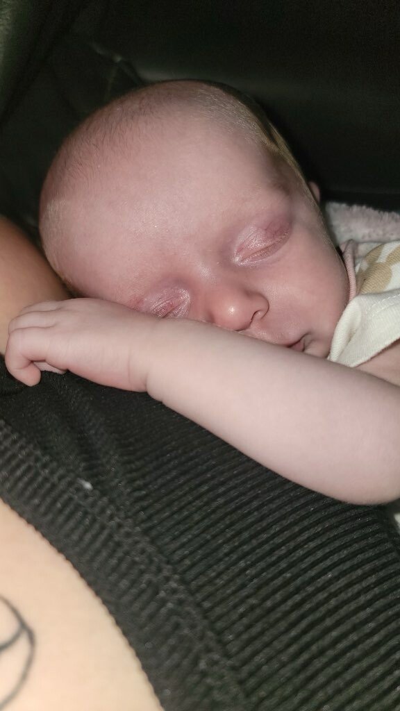 Oakleigh Jayde Abshire - Photo 35