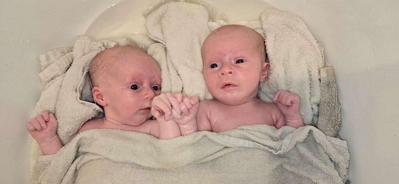 Oakleigh Jayde Abshire - Photo 40