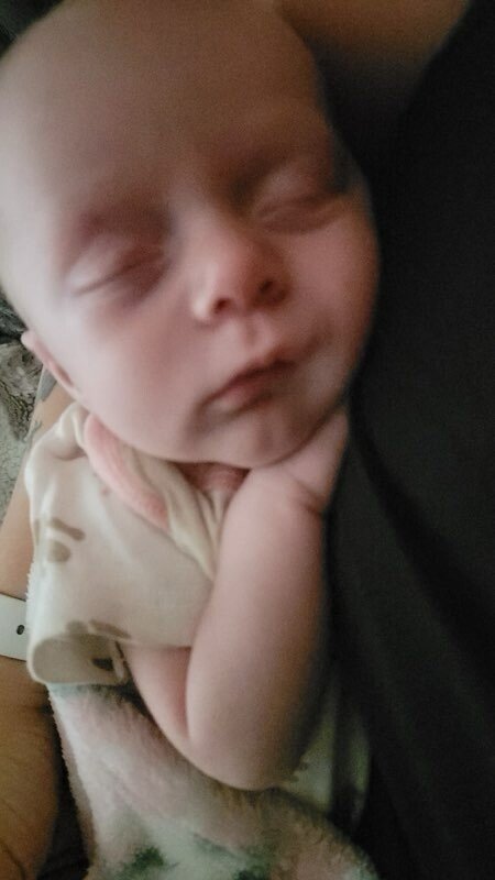 Oakleigh Jayde Abshire - Photo 84