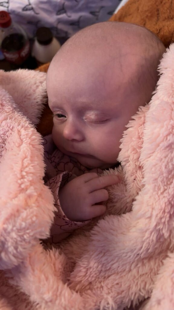 Oakleigh Jayde Abshire - Photo 91