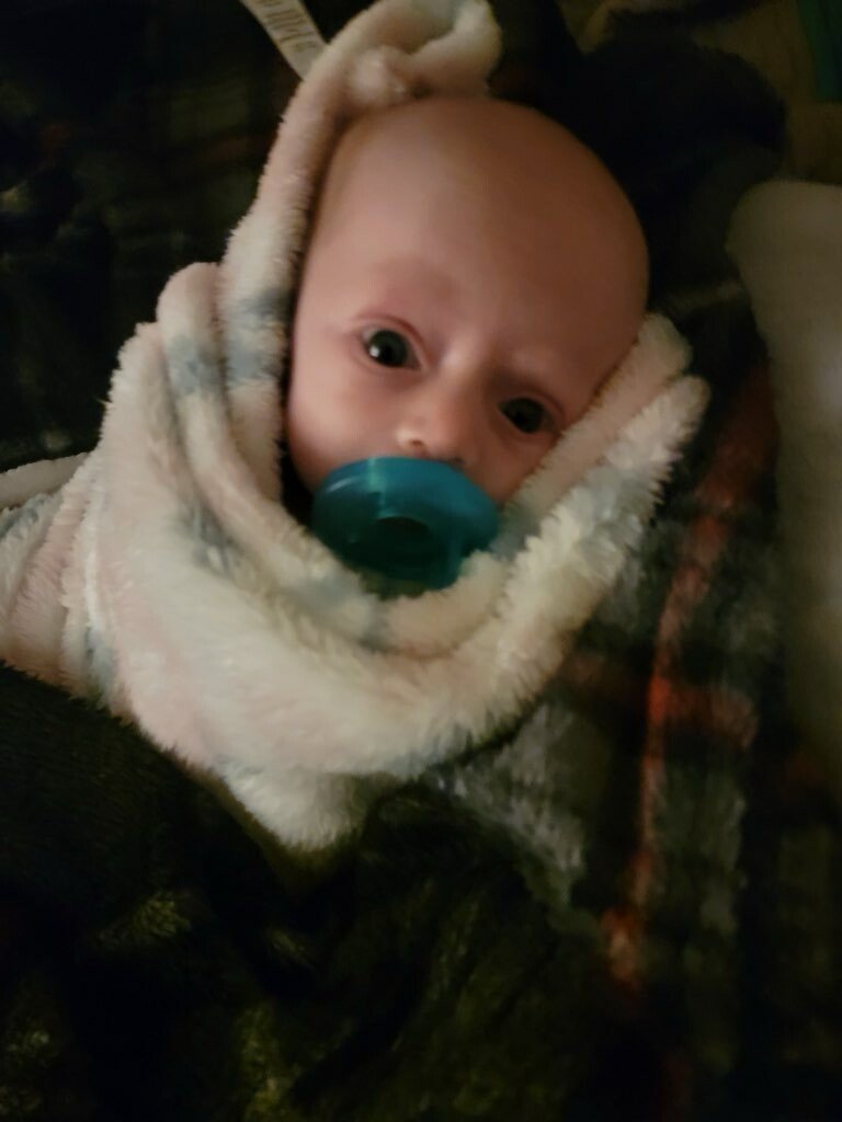 Oakleigh Jayde Abshire - Photo 93