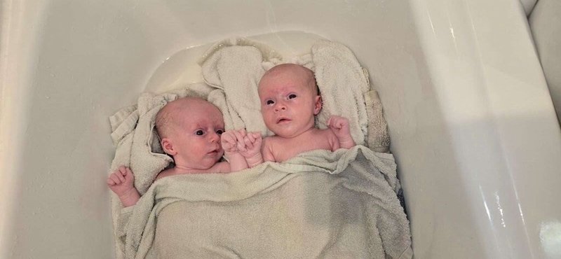 Oakleigh Jayde Abshire - Photo 94