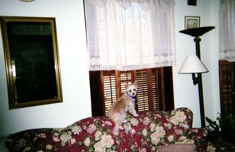 Sharron Rae Dragulski - Photo 30