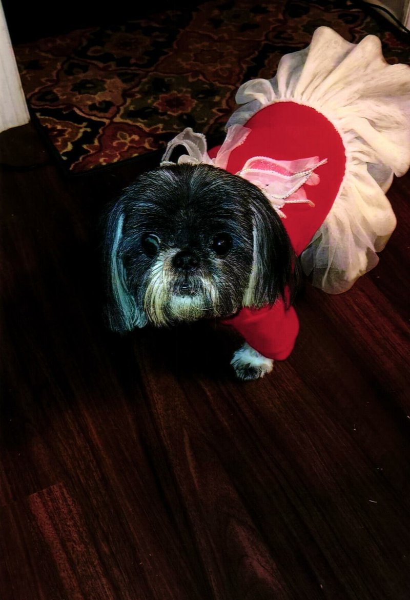 Christopher Paul Weber - Photo 28