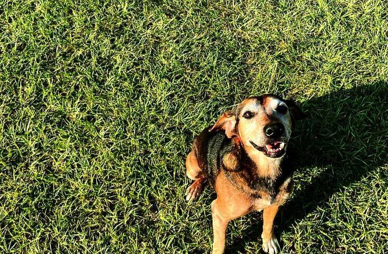 Ruby Alice Hutson - Photo 76