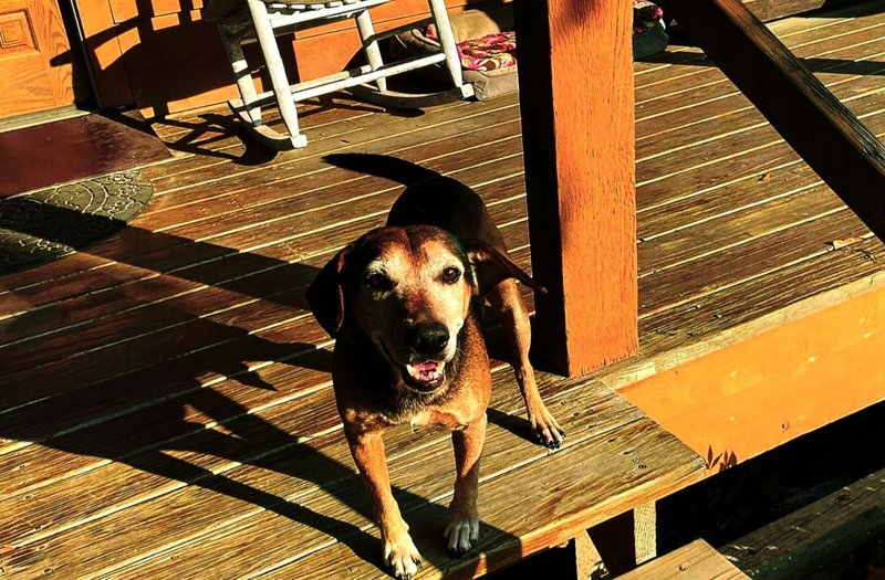 Ruby Alice Hutson - Photo 112