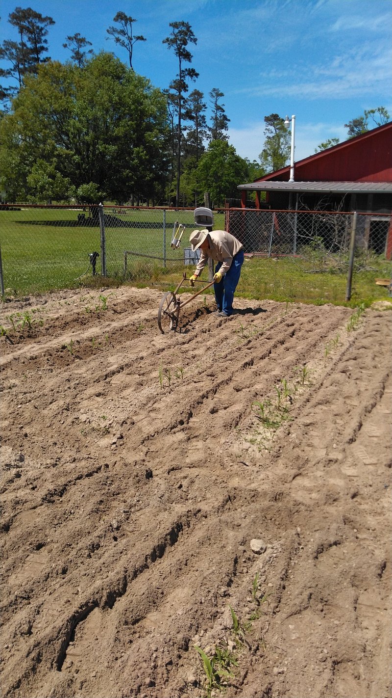 Reeves "Clyde" Mize - Photo 21