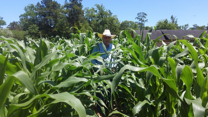 Reeves "Clyde" Mize - Photo 33