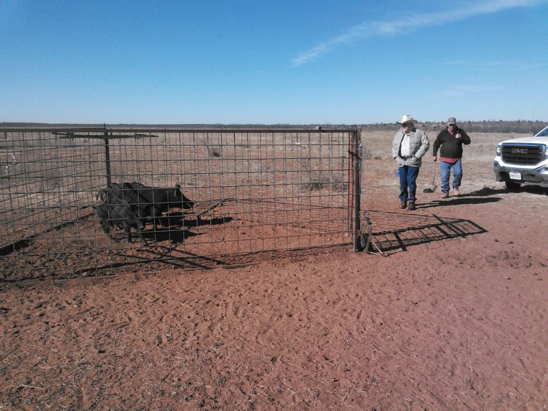 Reeves "Clyde" Mize - Photo 37