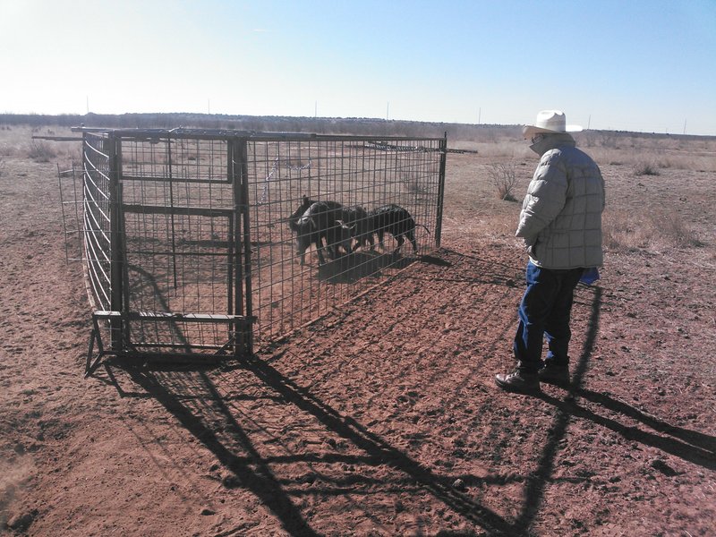 Reeves "Clyde" Mize - Photo 74