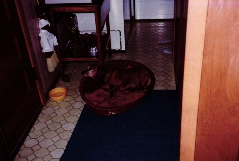 Carol Sue Granger - Photo 2