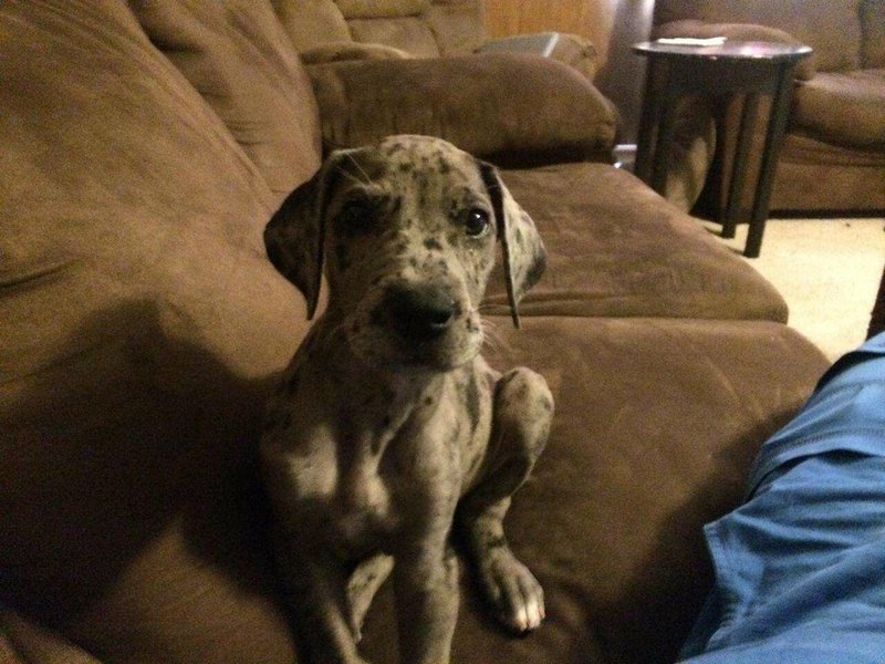 Marilyn Carol Prewitt - Photo 125