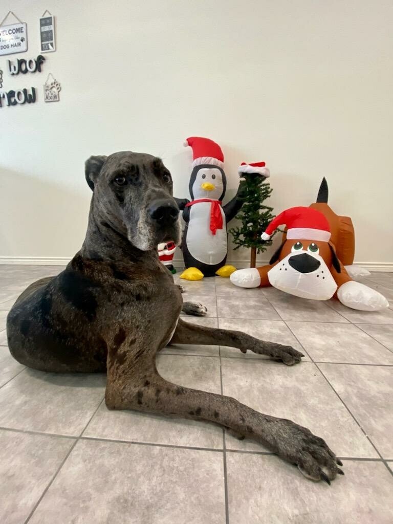 Marilyn Carol Prewitt - Photo 133