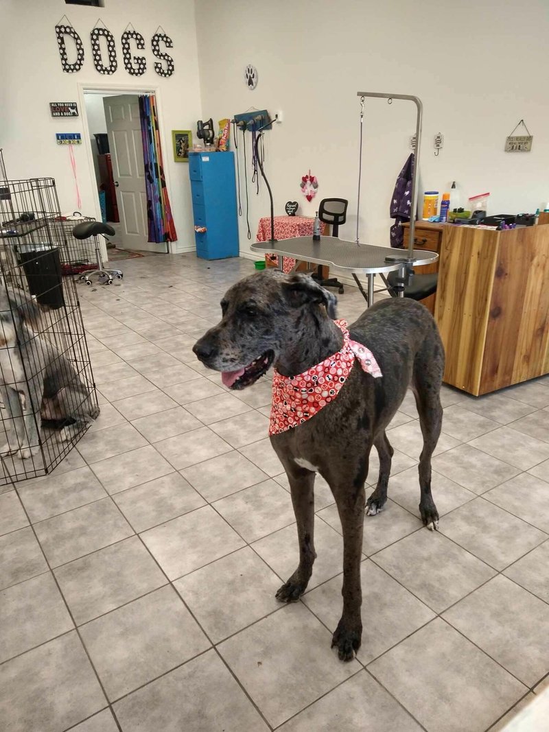 Marilyn Carol Prewitt - Photo 137