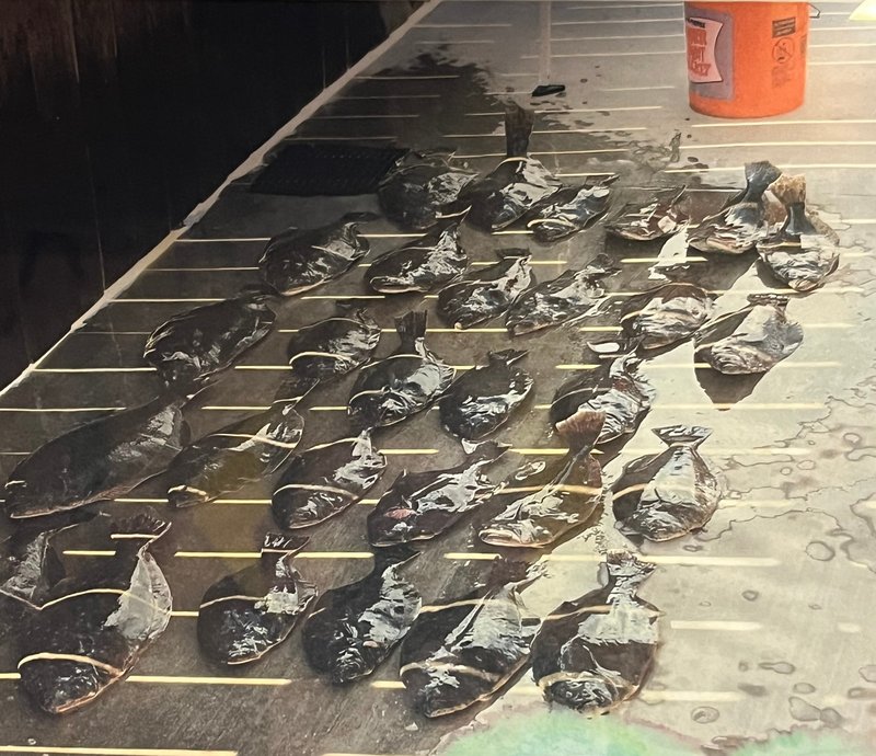 Artell John "A.J." Lemoine, Jr. - Photo 14