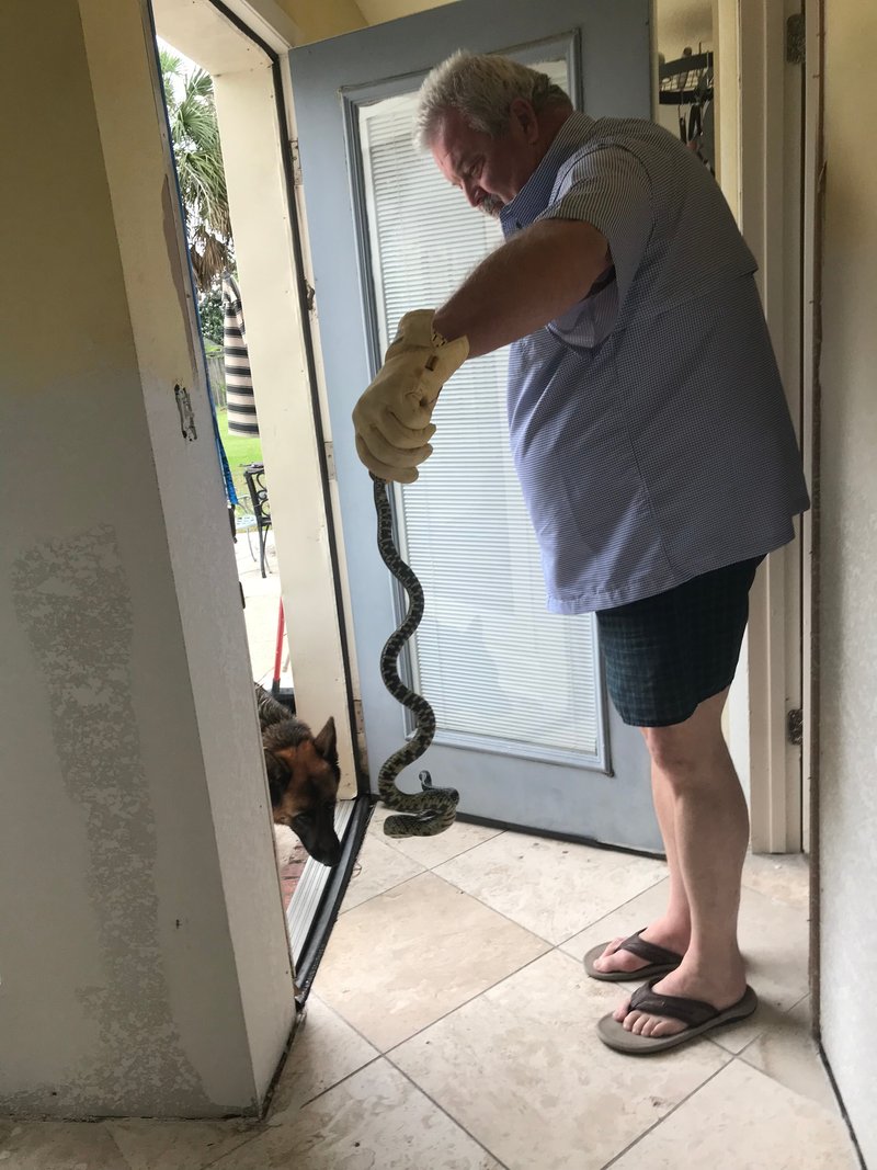 Doyle Hinds, Jr. - Photo 33