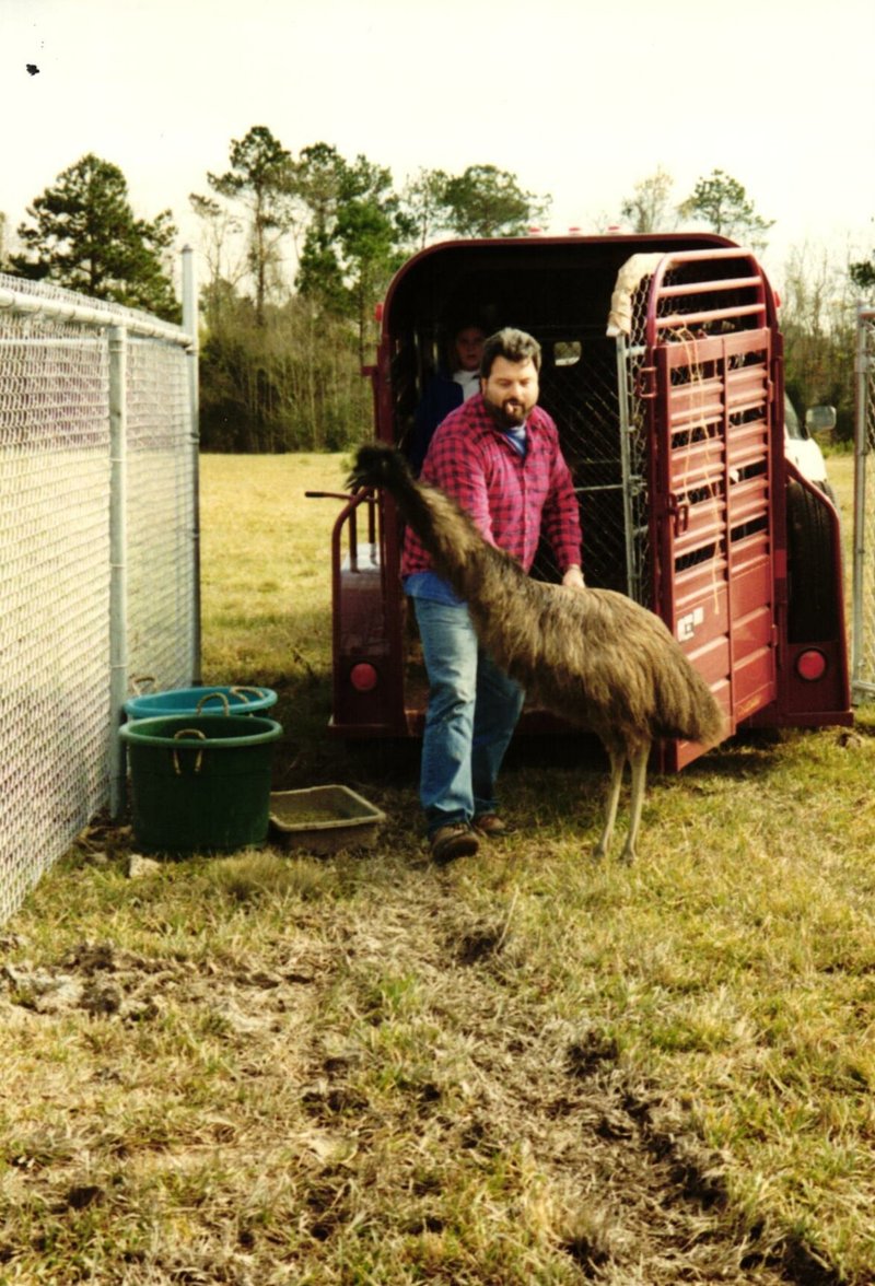 Doyle Hinds, Jr. - Photo 61