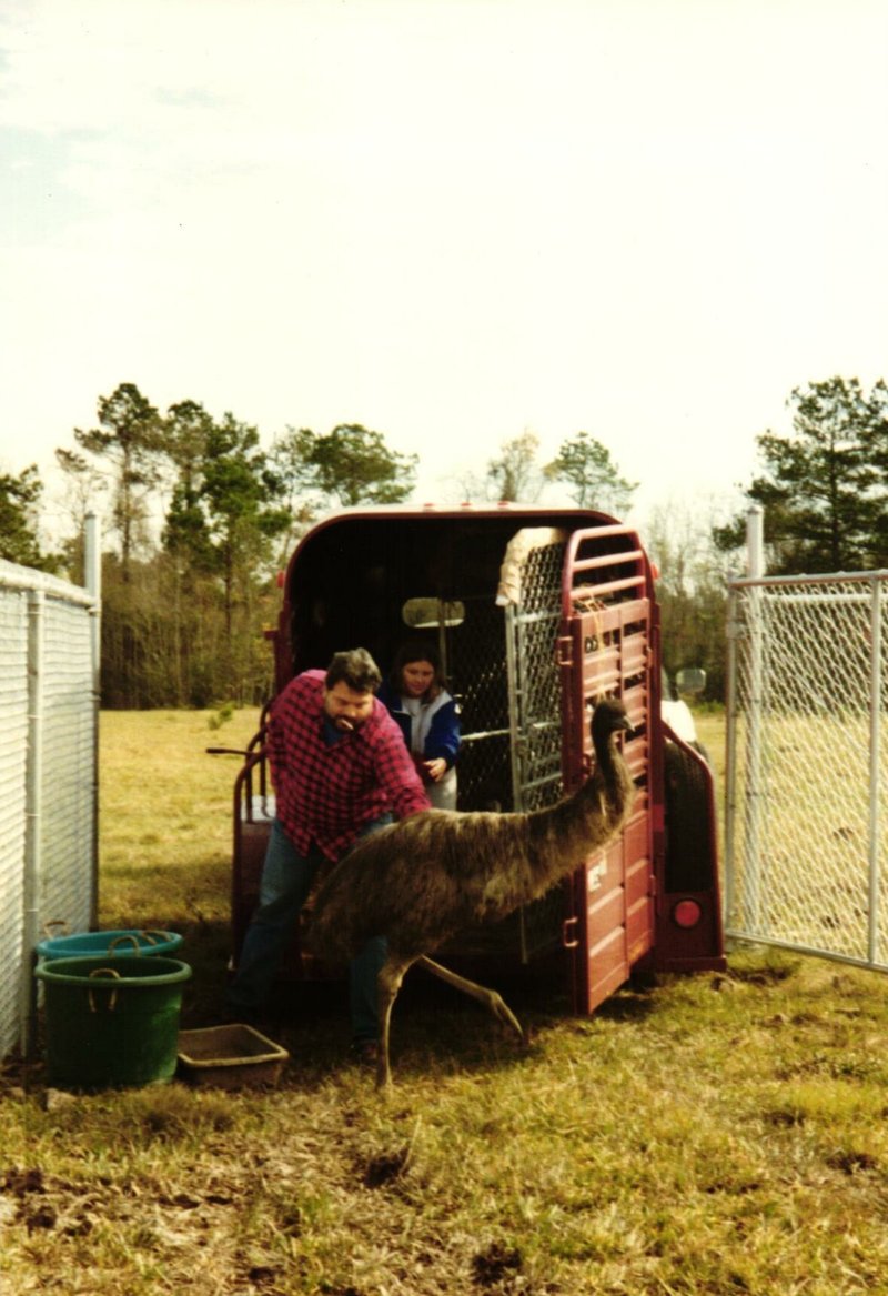 Doyle Hinds, Jr. - Photo 99